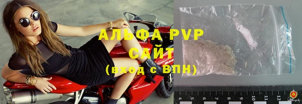 крисы Верхний Тагил