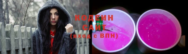 крисы Верхний Тагил