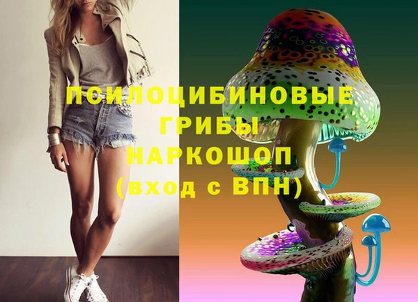 крисы Верхний Тагил
