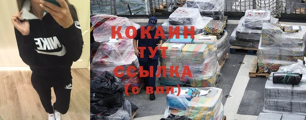 стаф Сосновый Бор
