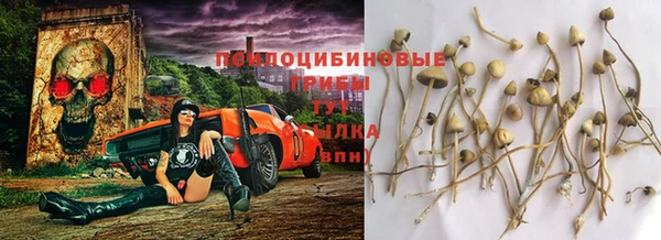 крисы Верхний Тагил