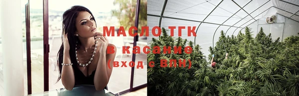 крисы Верхний Тагил